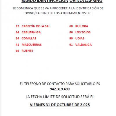 IDENTIFICACIÓN OVINO/CAPRINO